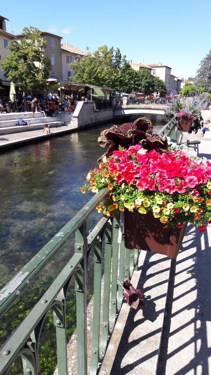 Appart Ensoleille Proche Remparts Avignon Buitenkant foto